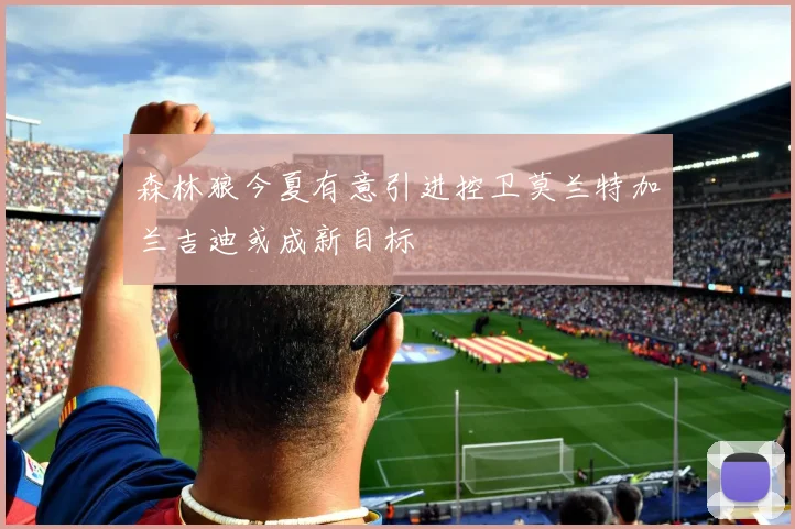 森林狼今夏有意引进控卫莫兰特加兰吉迪或成新目标