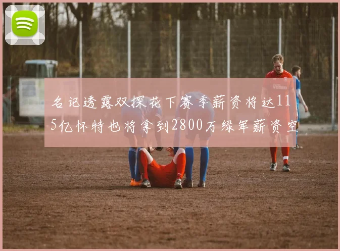 名记透露双探花下赛季薪资将达115亿怀特也将拿到2800万绿军薪资空间依旧紧张