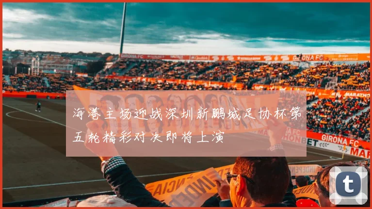 海港主场迎战深圳新鹏城足协杯第五轮精彩对决即将上演
