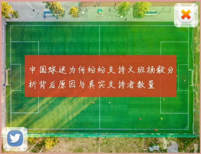 中国球迷为何纷纷支持文班杨毅分析背后原因与真实支持者数量